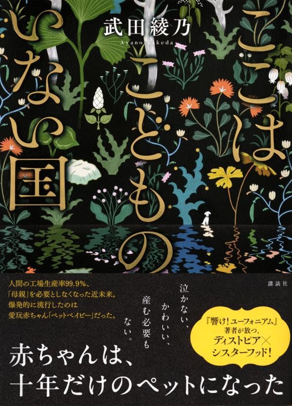 ここはこどものいない国